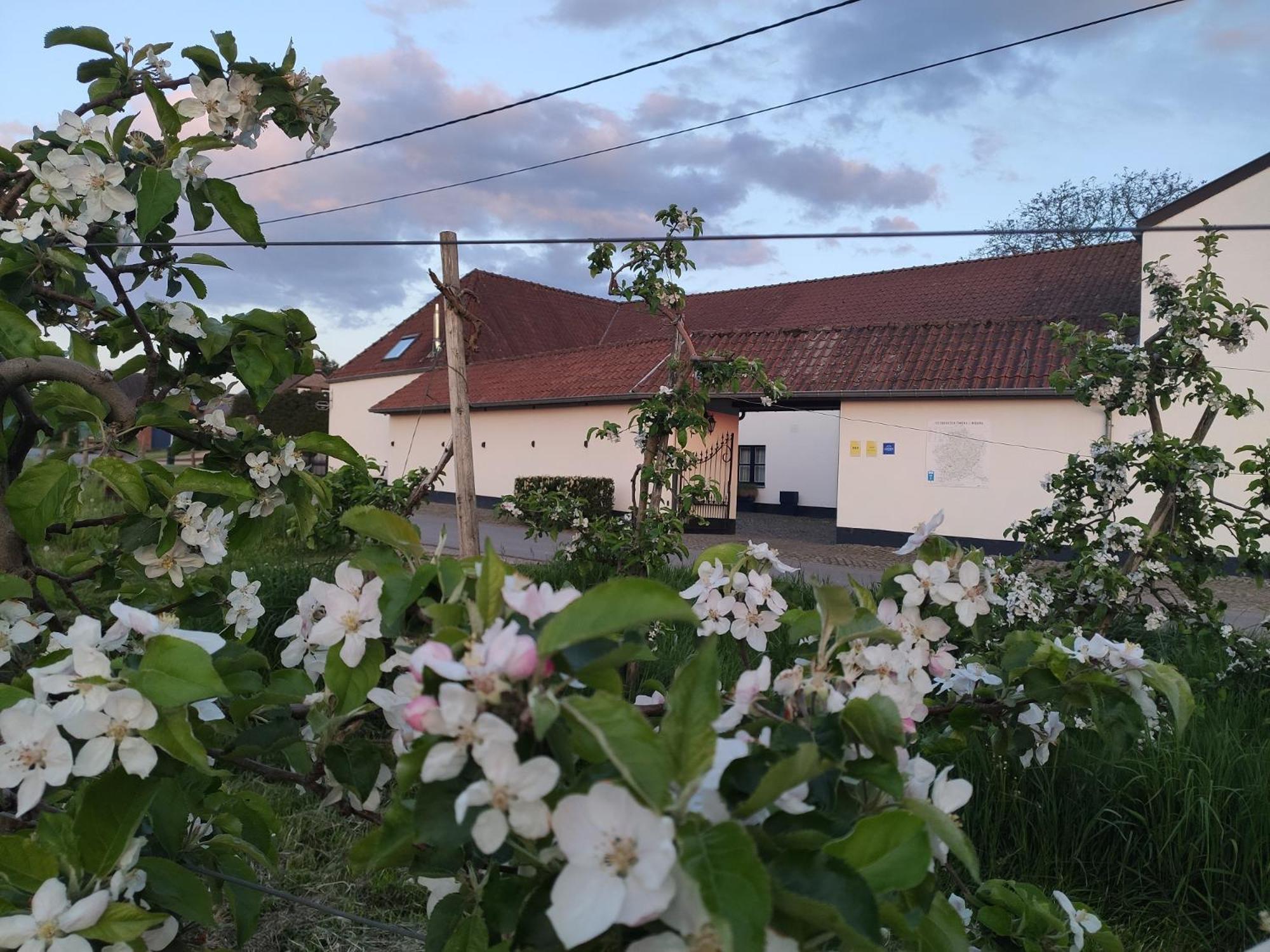 하셀트 Het Hemelsveld B&B 외부 사진